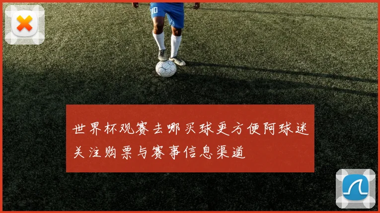 世界杯观赛去哪买球更方便阿球迷关注购票与赛事信息渠道