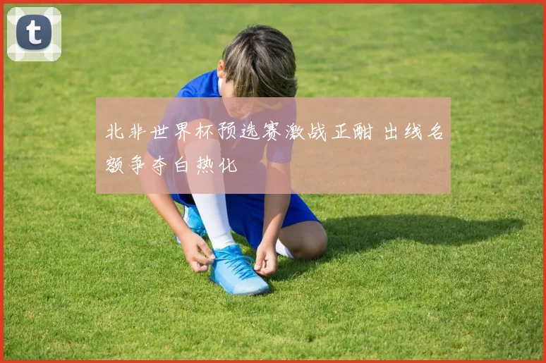 北非世界杯预选赛激战正酣 出线名额争夺白热化