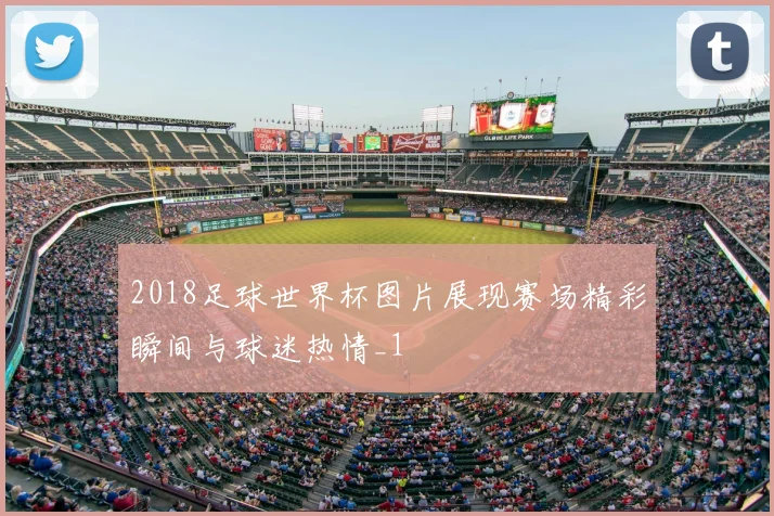 2018足球世界杯图片展现赛场精彩瞬间与球迷热情_1